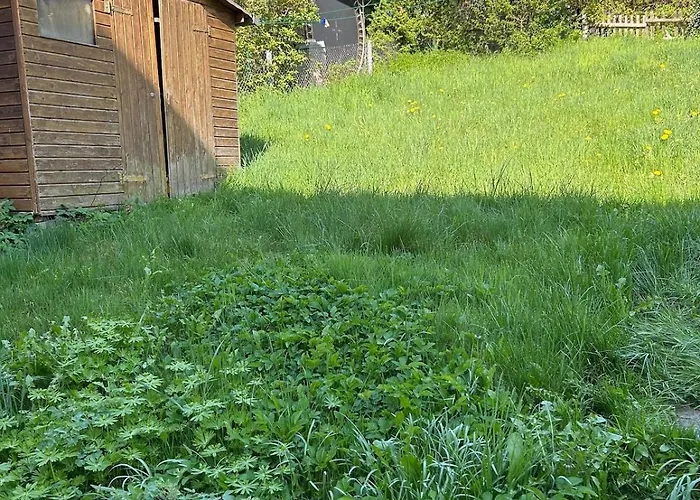 Gemuetlich Wohnen In Blankenstein Am Rennsteig Апартаменты Rosenthal (Hessen)