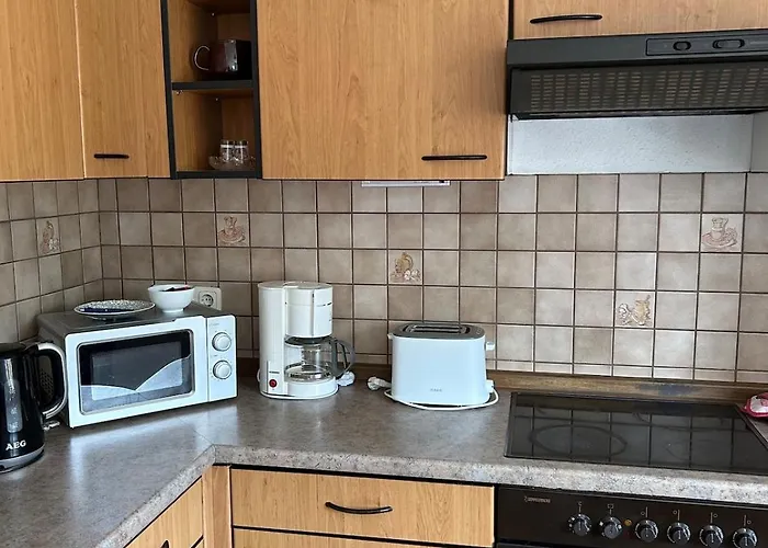 Gemuetlich Wohnen In Blankenstein Am Rennsteig * Rosenthal